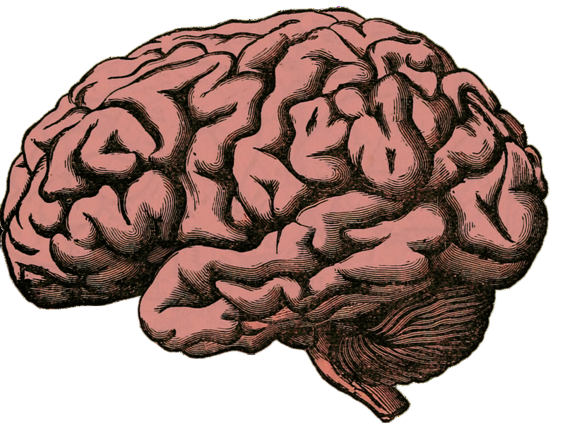 Neuroscience